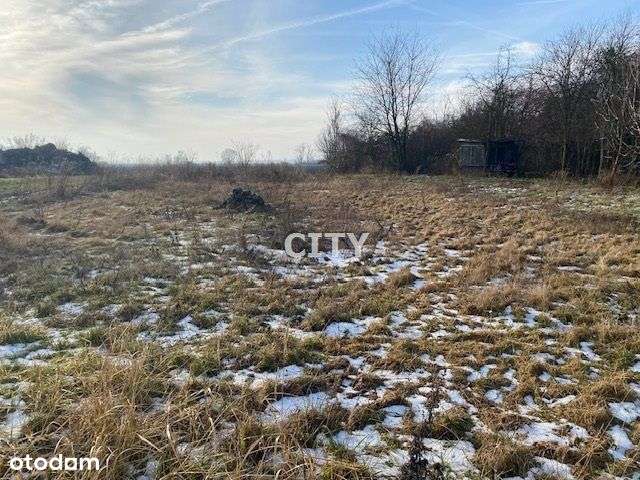 Działka z warunkami zabudowy/gmina Żórawina-1