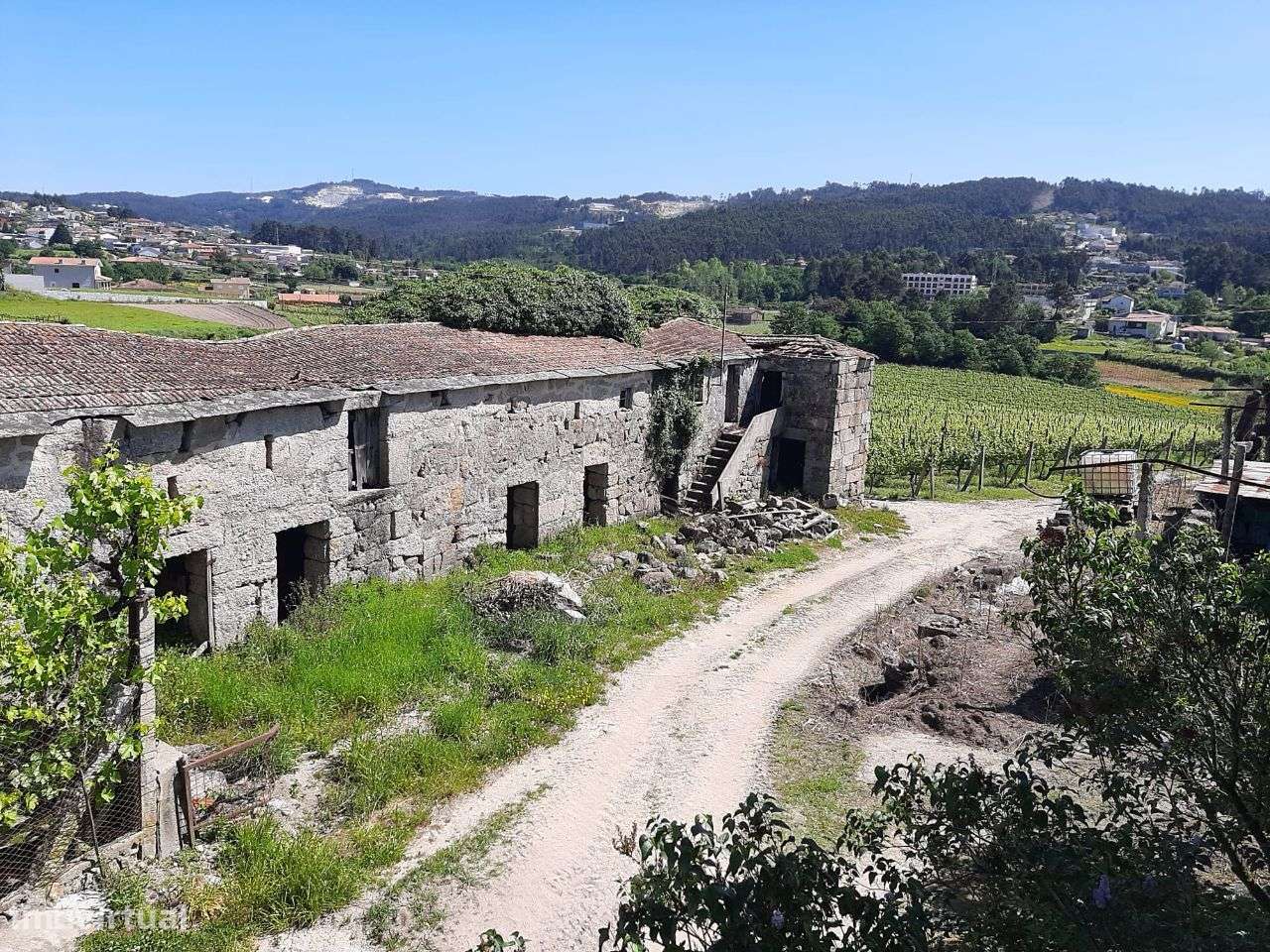 Vende Quinta 12hectares Oldrões Penafiel - Grande imagem: 5/39