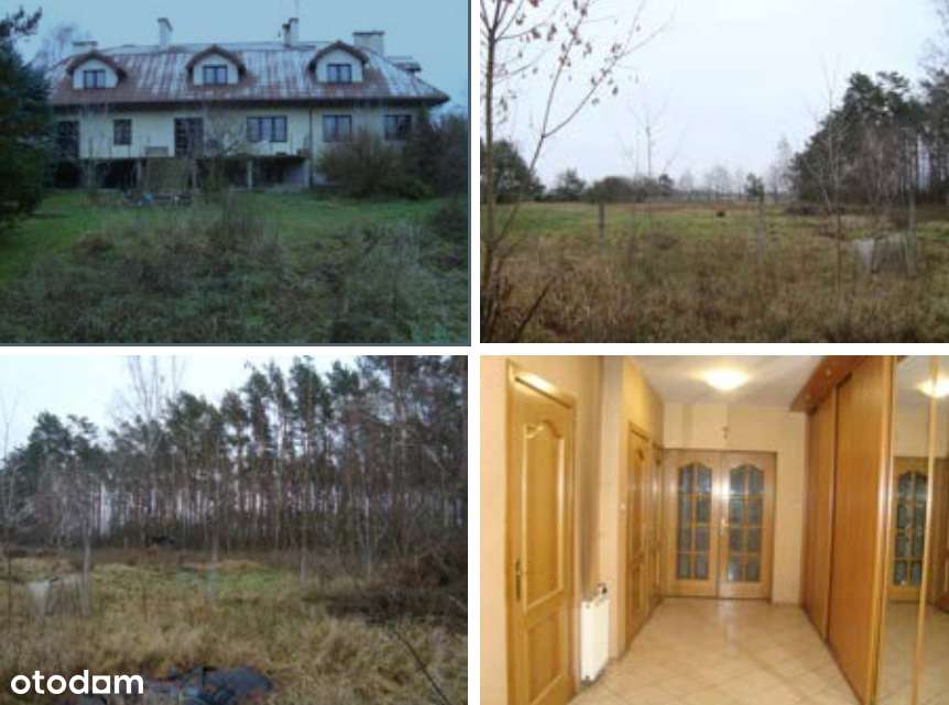 Syndyk sprzeda dom z działką w miejscowości Krępa, gm. Domaniewice - Pełny obrazek: 5/8