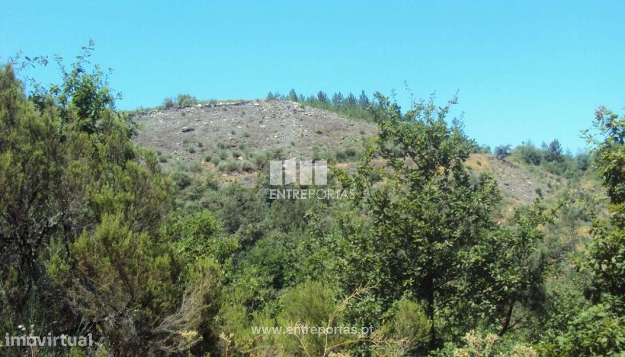 Venda Terreno, Oliveira do Douro, Cinfães - Grande imagem: 3/11