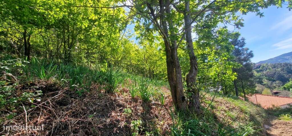 Terreno c/ projeto aprovado - Louredo-12