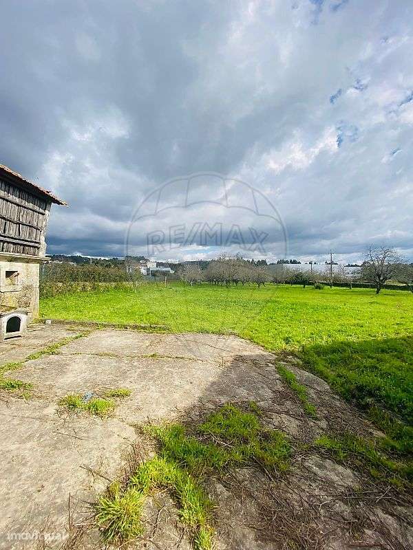 Quinta T5 para venda - Grande imagem: 4/9