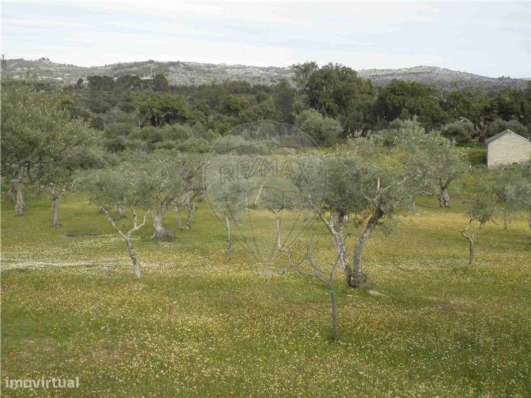 Quinta T0 para venda - Grande imagem: 2/23