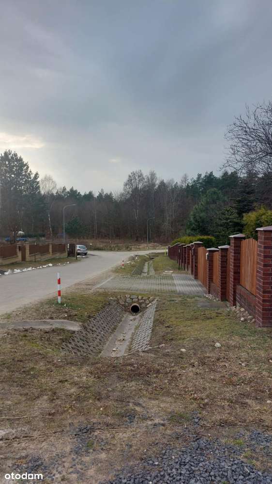 Gowino Zaciszne Zalesie w otulinie Trójmiejskiego Parku Krajobrazowego-15