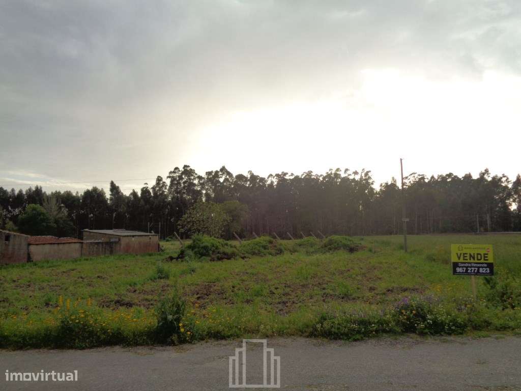 Terreno - Válega - Grande imagem: 2/2