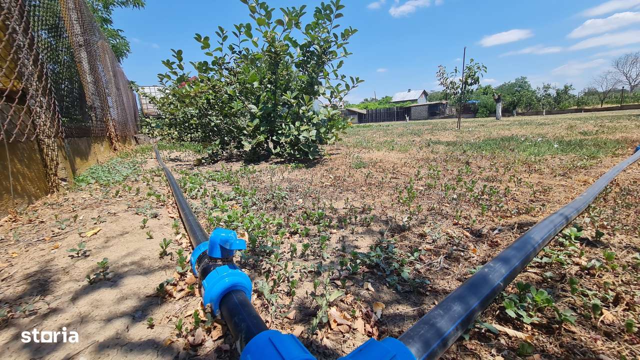 Vila impozanta in zona linistita la 15 minute de capitala!-10