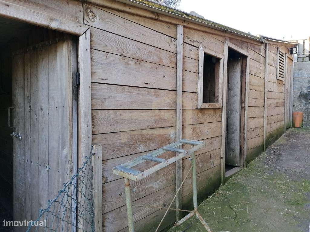 Terreno com 2.430 m² e Ruína em Ribeirão-15