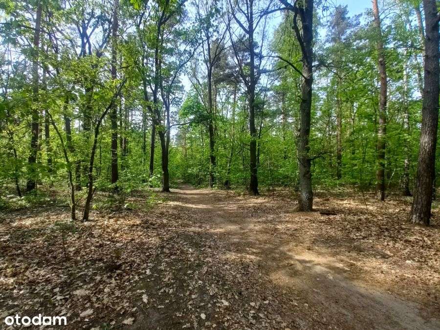REZERWACJA | Działka budowlana przy Kampinoskim Parku Narodowym! - Pełny obrazek: 5/9