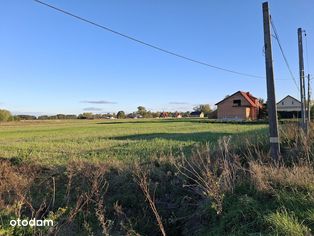 Działka pod budowę 29 ar, Trzciana gm. Czermin - Pełny obrazek: 2/5