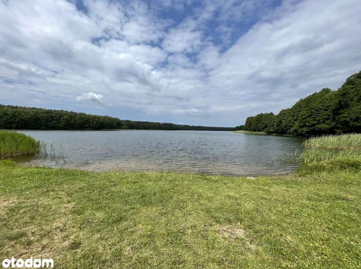 Działka nad Jeziorem Dołgie| las | natura - BUDOWLANA - Pełny obrazek: 4/8