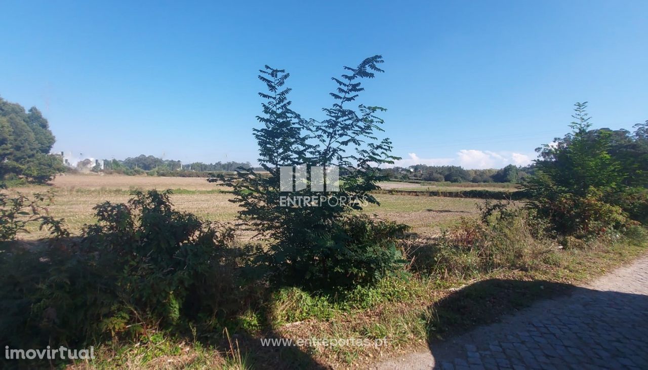 Venda de Terreno agrícola com 3650 m2, Tougues, Vila do Conde