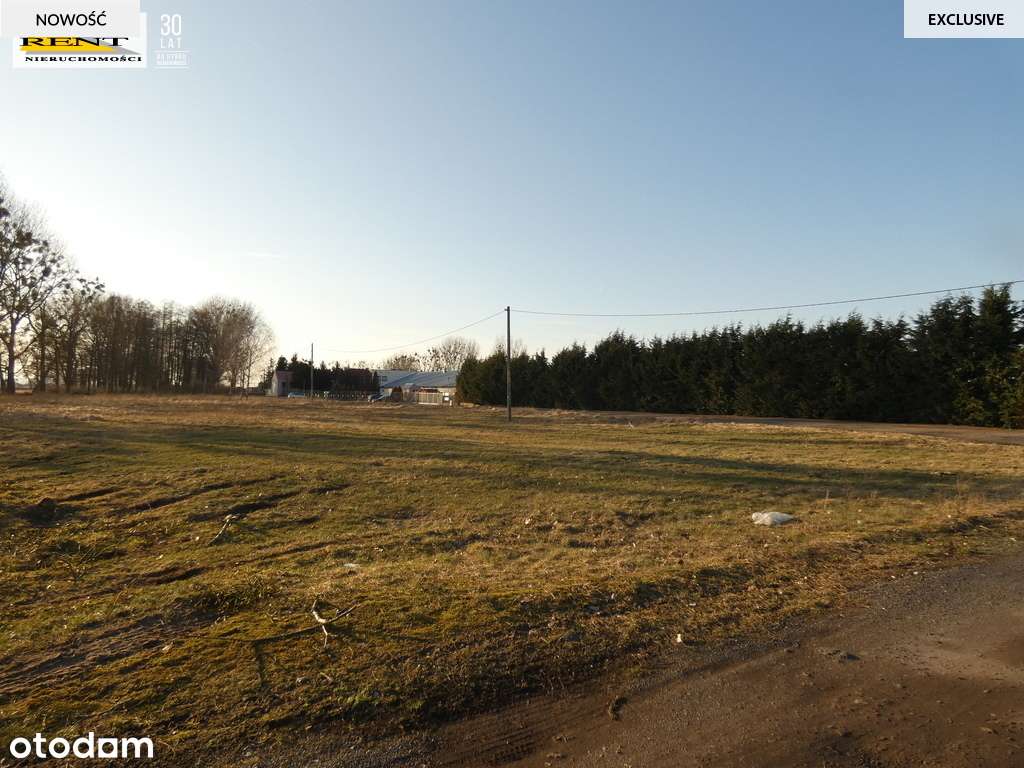 Duża działka komercyjna w  pobliżu Goleniowa - Pełny obrazek: 5/13