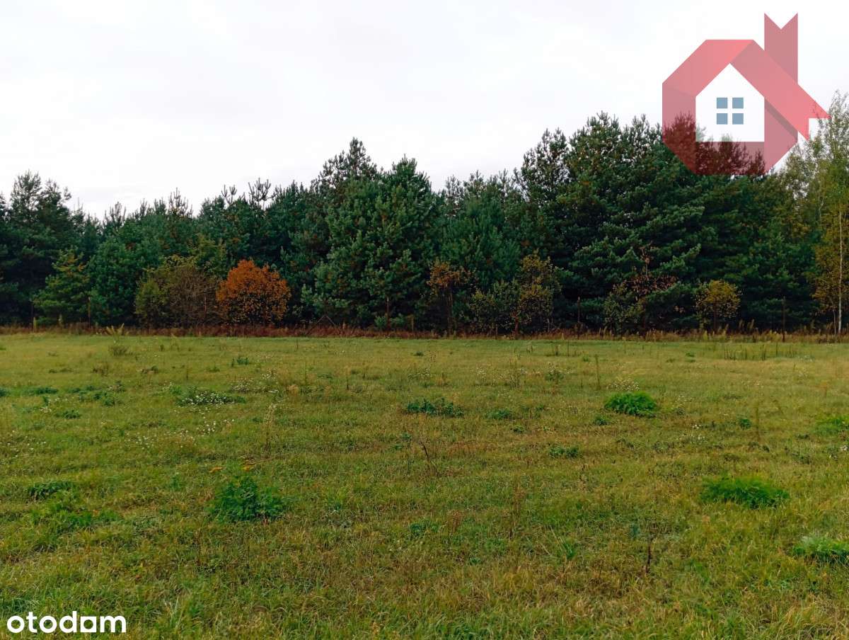 Działka 1726 m2 z prądem , Henryszew k/ Żyrardów-7