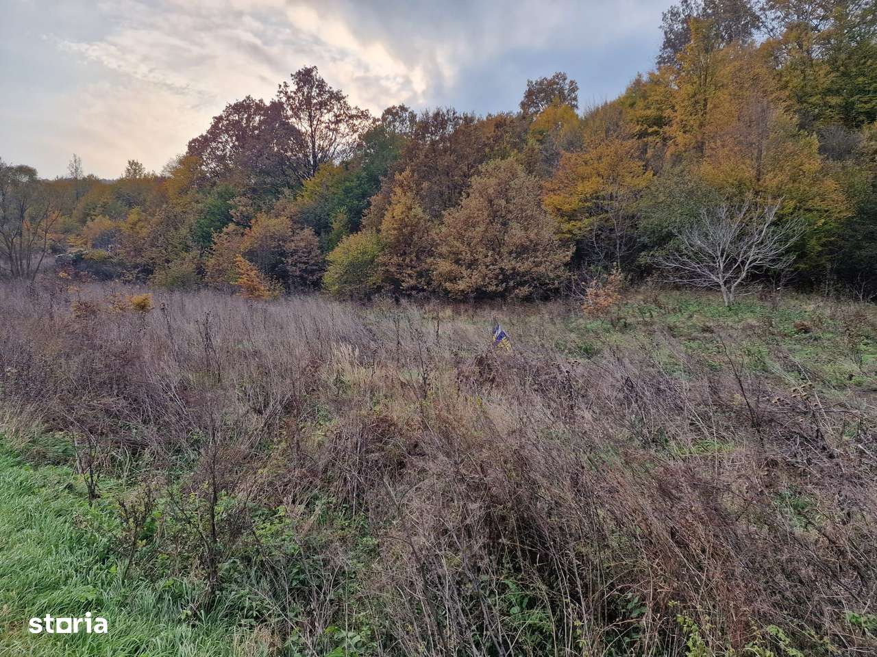 Teren 1,717mp Margineni / Strada Sat podis-9