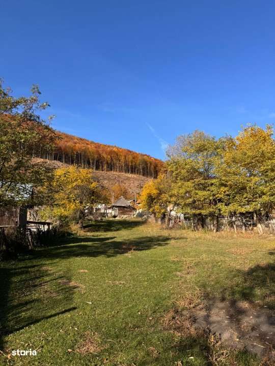 Teren Salatrucu - 7500 mp - Imagine principală: 3/8