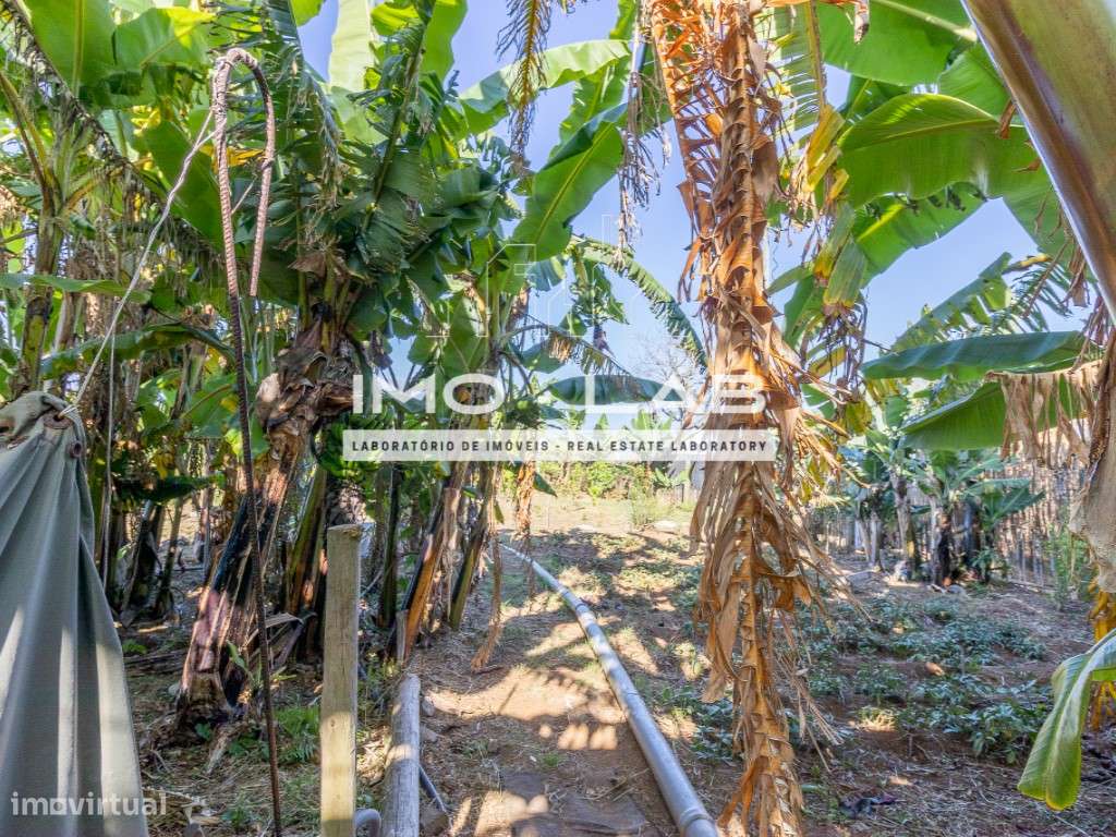 Moradia T1+1 - São Jorge - Vista Mar - Ilha da Madeira-12