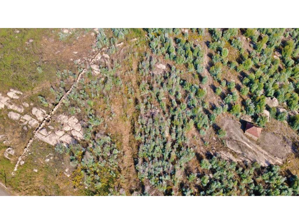 Terreno para construção de habitação, a 5 minutos de Penafiel - Grande imagem: 3/3