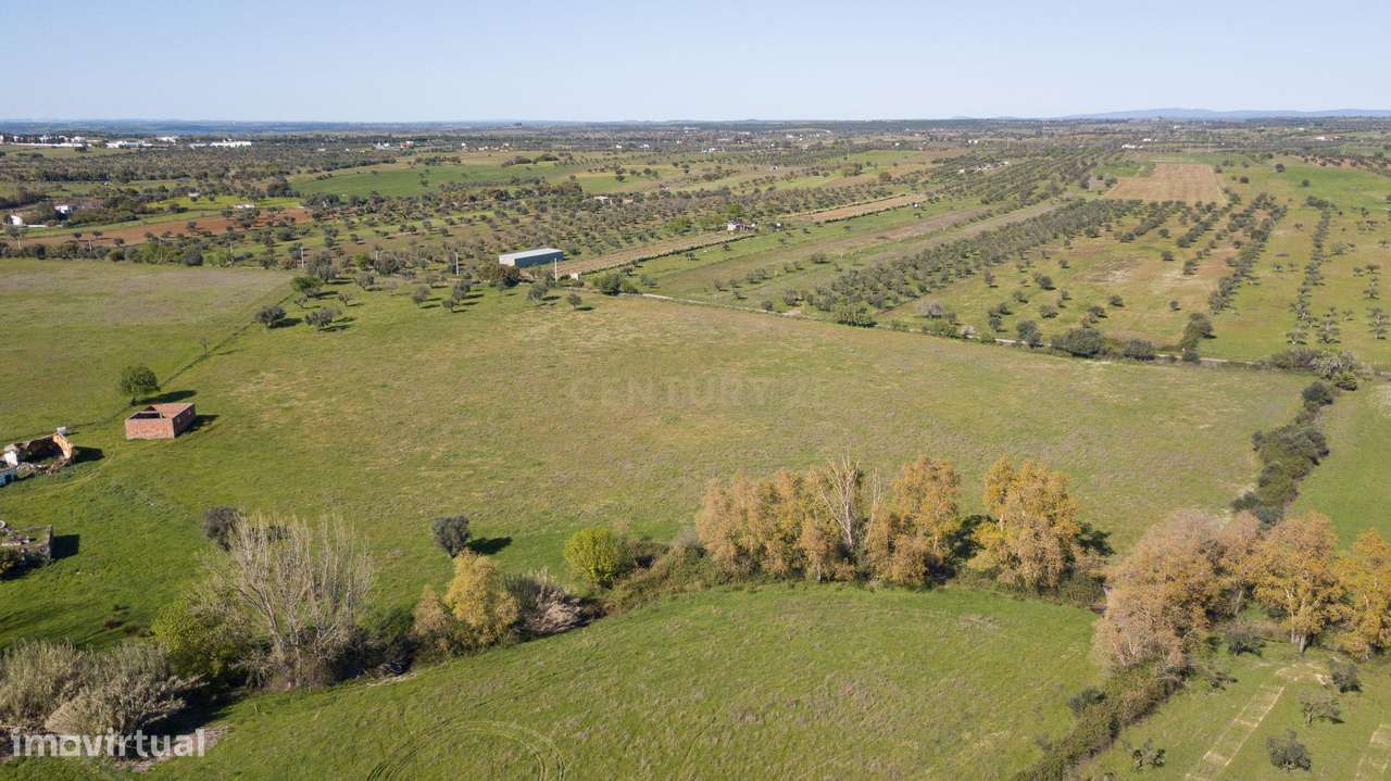Terreno Mourão - Alentejo-9