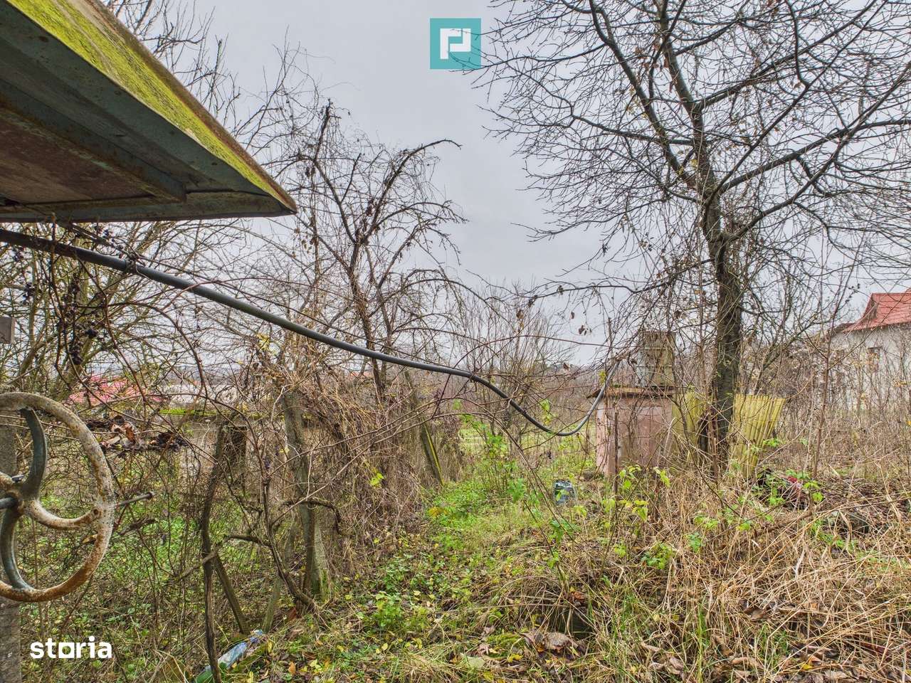 Casă 70 mp în Diosig, 1230 mp teren-3