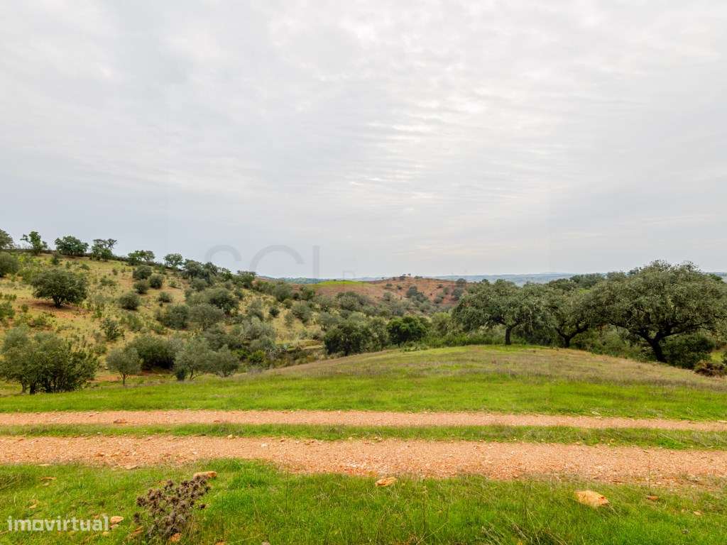 Investimento em Serpa: 6,5ha c/ Viabilidade Turística-17