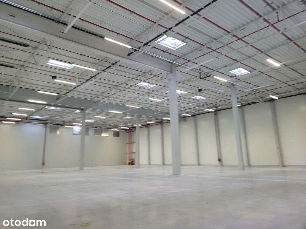 Moduły Magazynowe - Pełny obrazek: 5/8