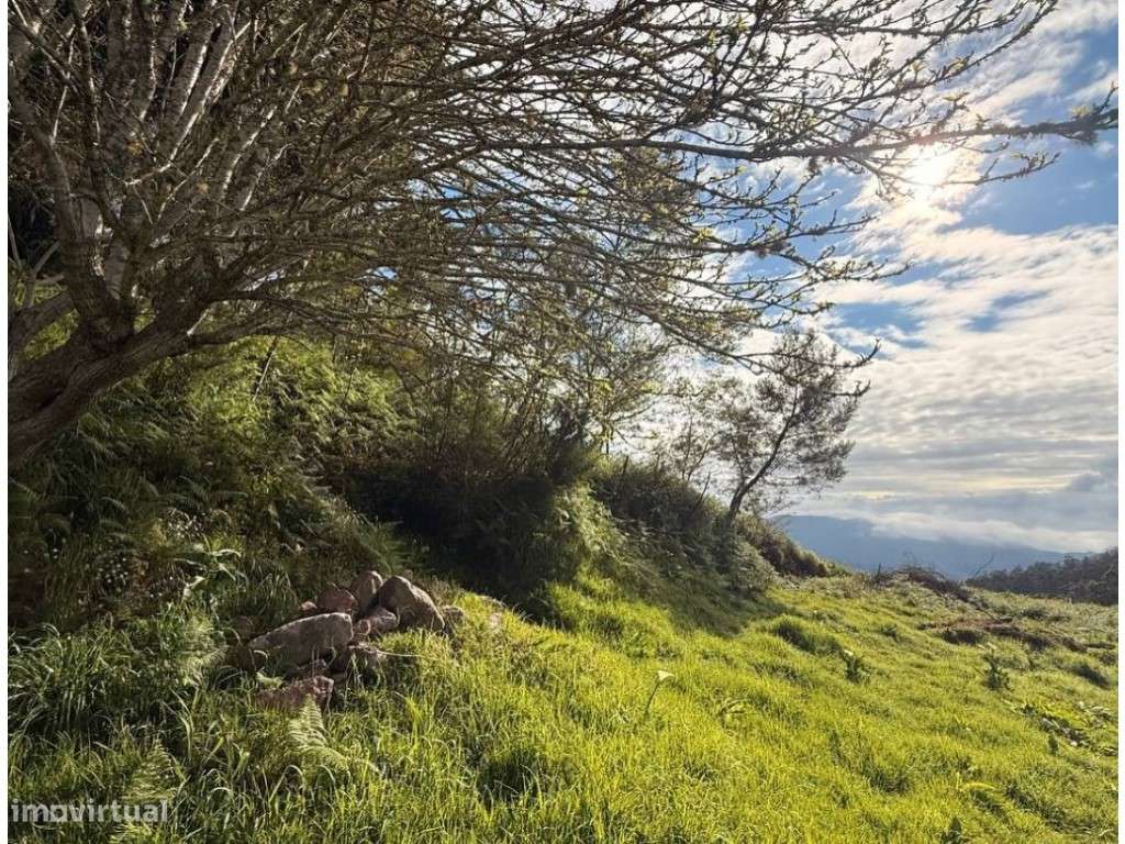 Moradia com terreno de 1.2 ha - Santo da Serra-4