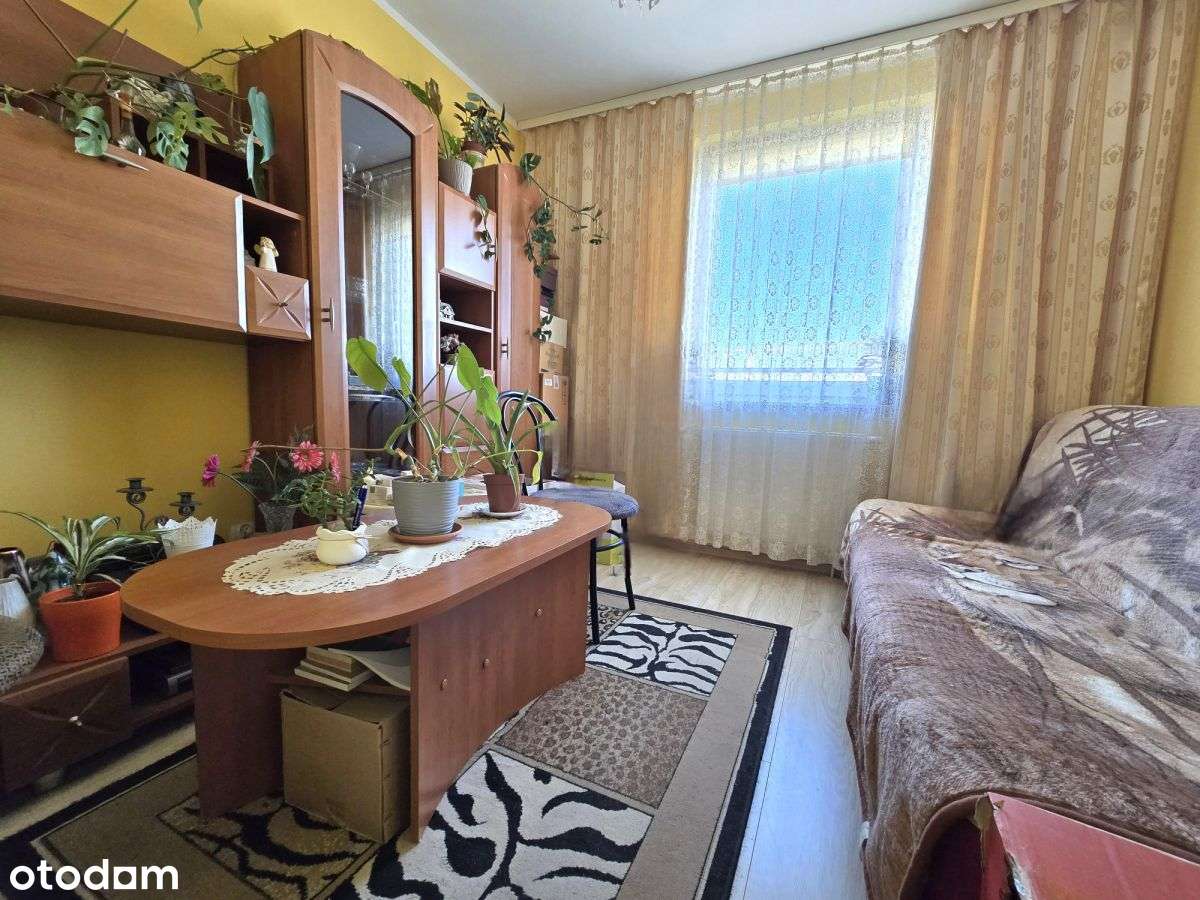 Rok budowy 2017, mieszkanie, panoramiczny widok-4