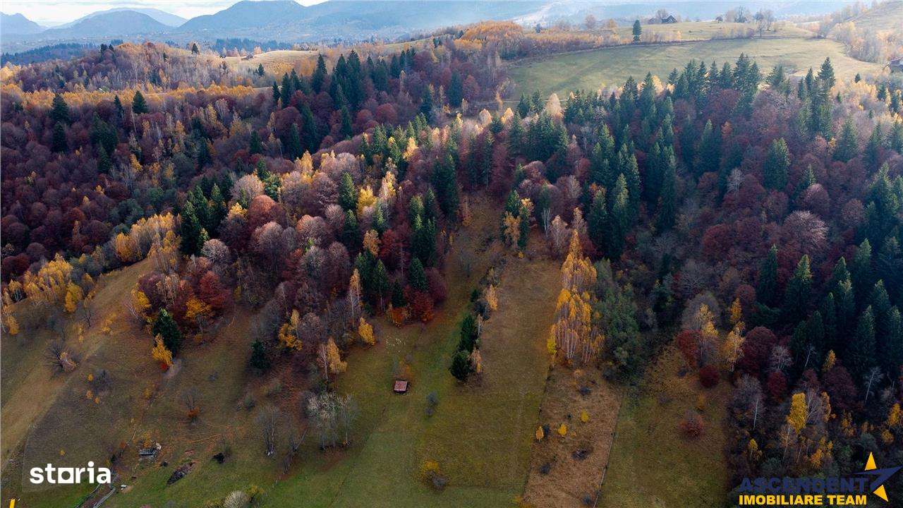 FILM! Teren intravilan spectaculos,1.000 mp,Moieciu,panorama 180 grade - Imagine principală: 5/7