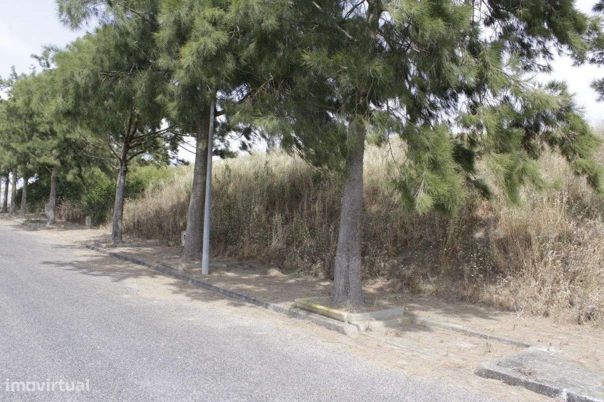 Terreno  para venda - Grande imagem: 5/5