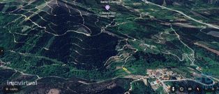 Terreno Agrícola em Espinhal - Grande imagem: 5/20