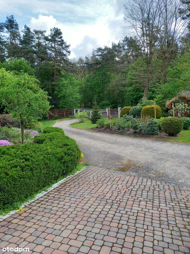 Wyjątkowy dom 158 m ² z 3 ha działką wśród lasów i jezior - Pełny obrazek: 4/20