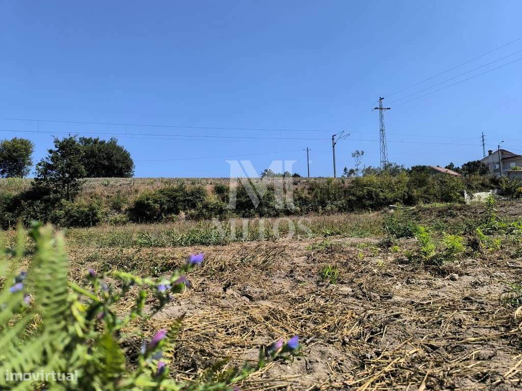 Terreno em zona de construção para venda em Alvarães - Viana do Cas... - Grande imagem: 5/9