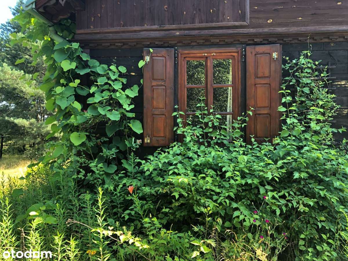 Drewniany dom kurpiowski w Puszczy Białej - Pełny obrazek: 5/20