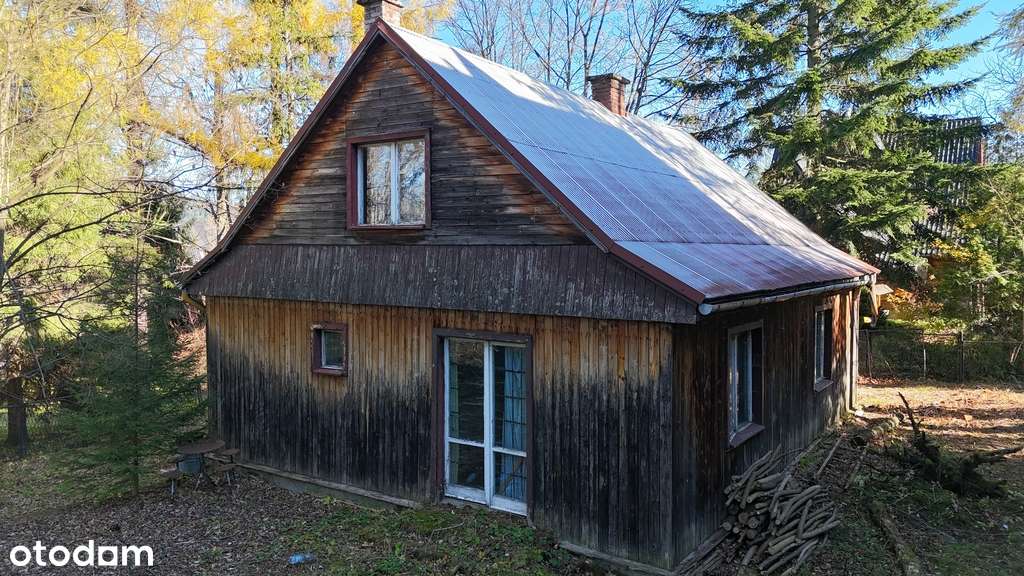 Działka z domem do remontu przy Parku narodowym-4