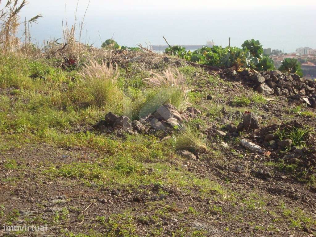 Lotes para construção - Localizado no Imaculado Coração de Maria, F... - Grande imagem: 3/3