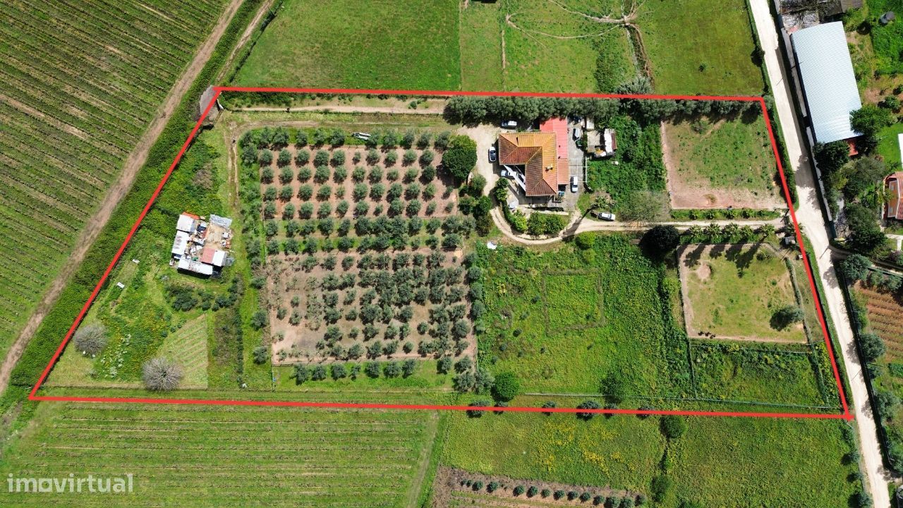 Quinta com Moradia T5 com 1,5 hectares - Cartaxo