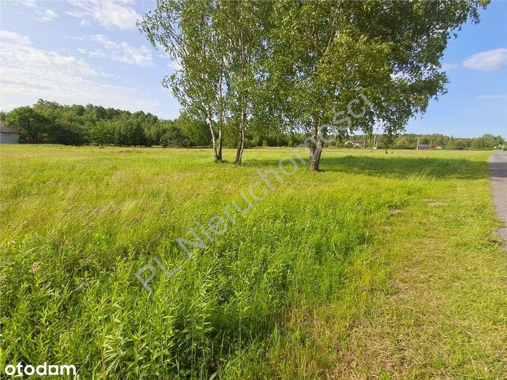 Działka w świetnej lokalizacji