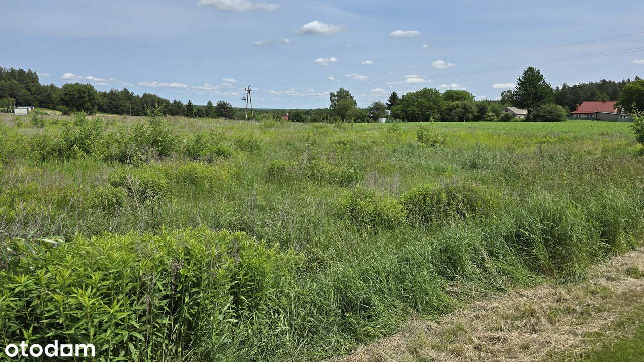 Atrakcyjna działka pod miastem - Pełny obrazek: 3/4