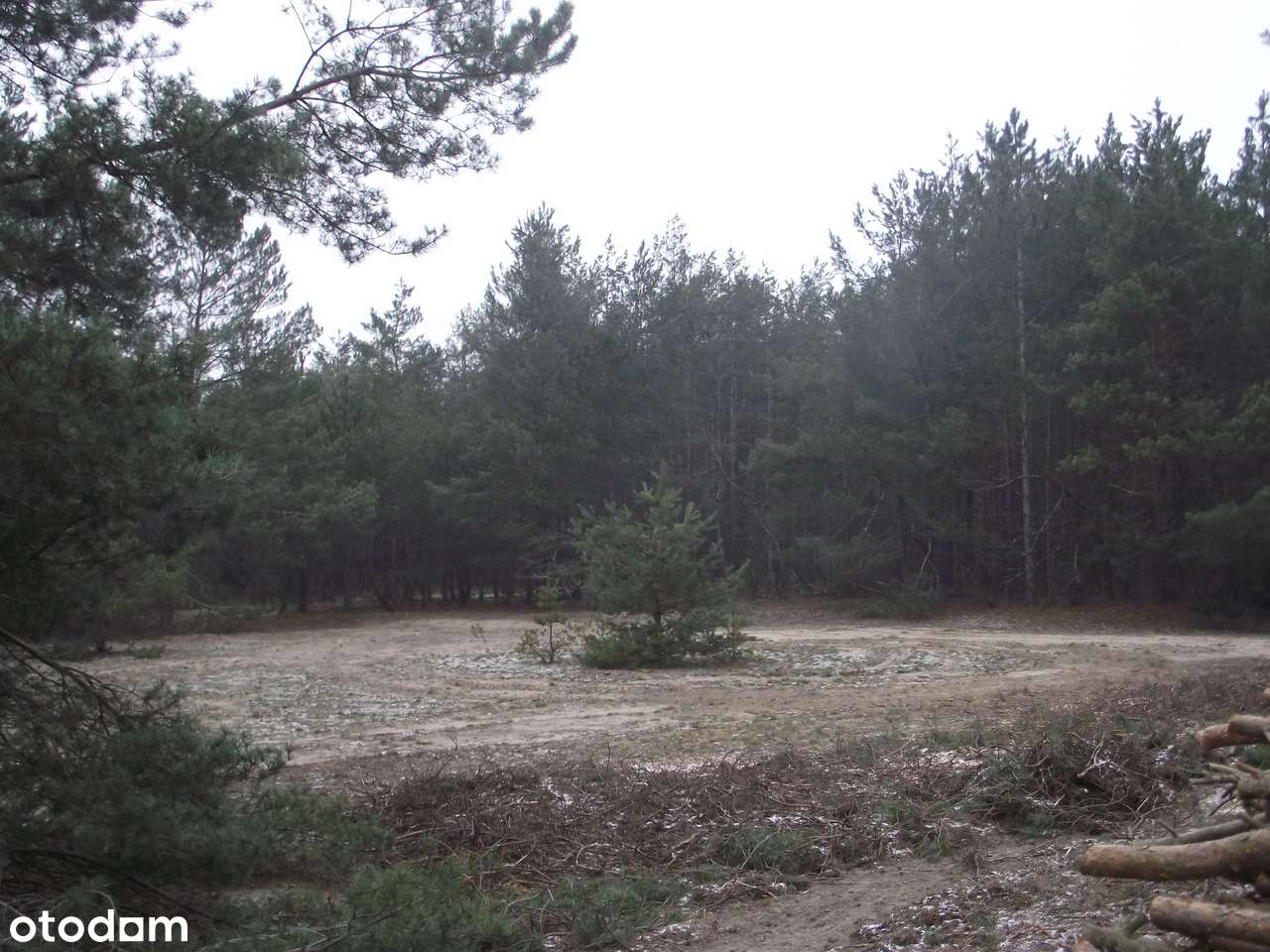 Sprzedam działki rekreacyjno - budowlane (3000m2) - Pełny obrazek: 4/8