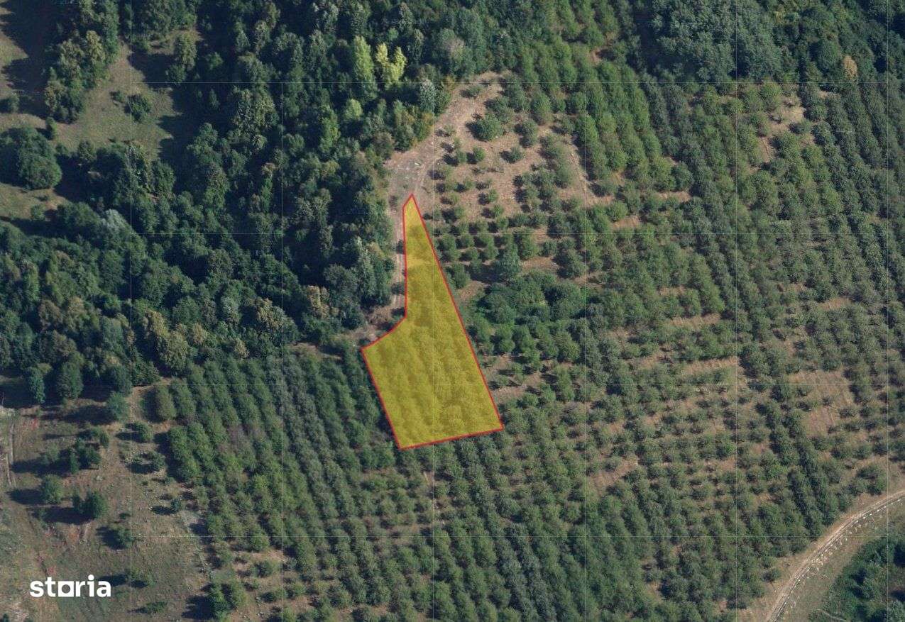 Teren intravilan 2900 mp ~ Campina ~ Prahova-0