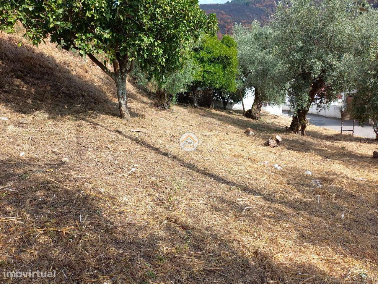 Terreno inserido no aglomerado urbano com viabilidade de construção - Grande imagem: 5/9