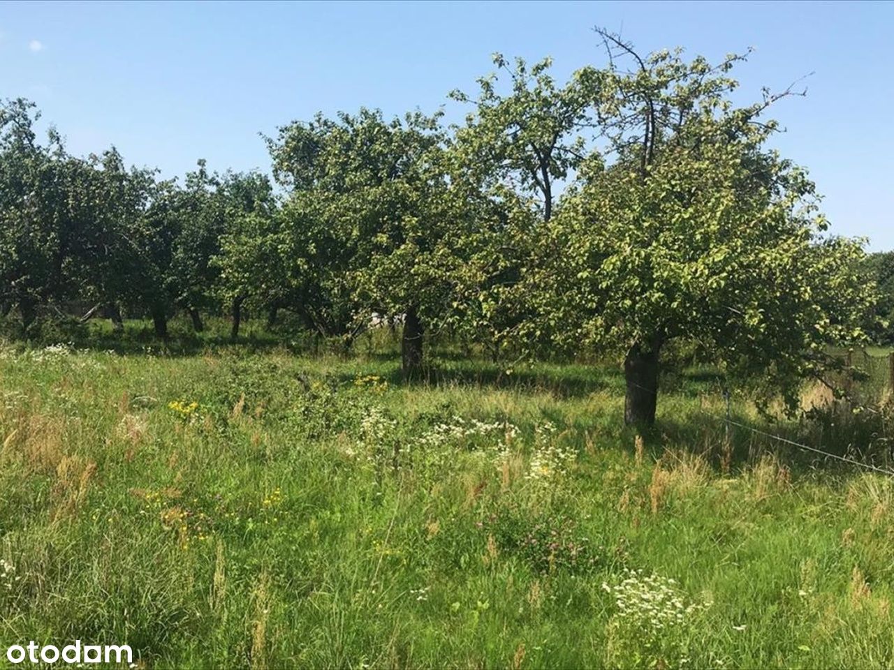 Atrakcyjna działka budowlana nad Pilicą!