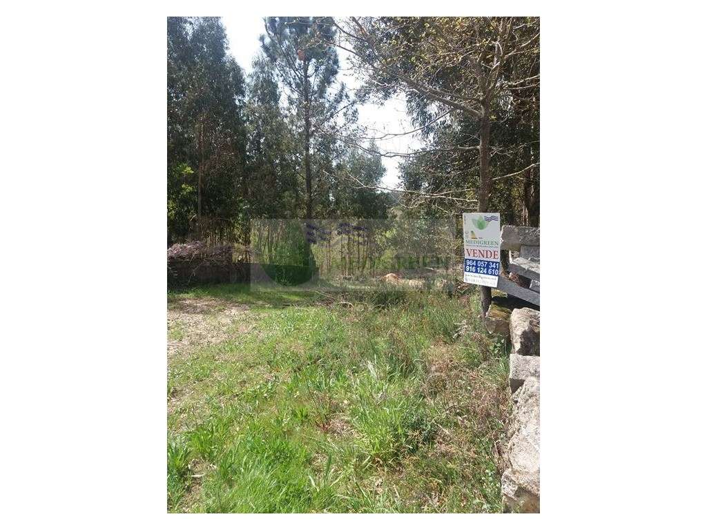 QUINTA JUNTO AO RIO VOUGA - Grande imagem: 5/7