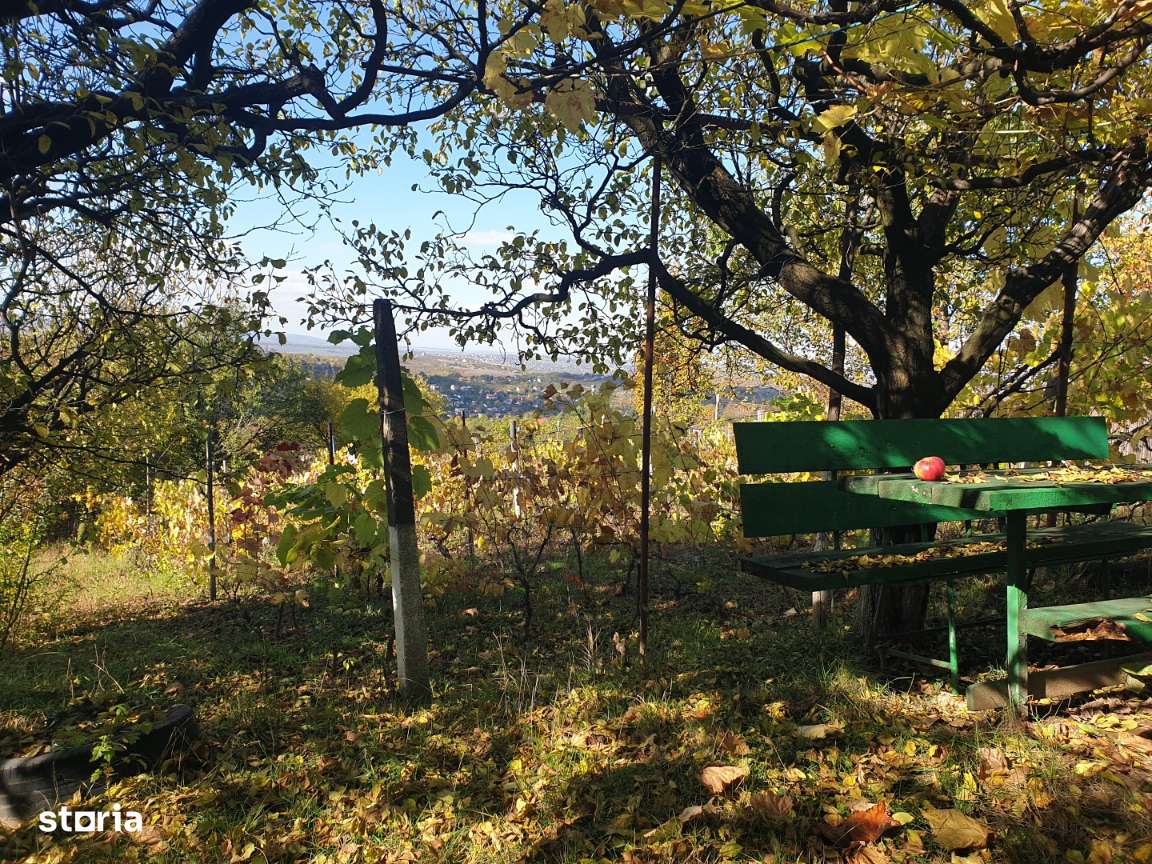 Teren intravilan ideal constructie casa - Pietraria - Barnova – IASI-19