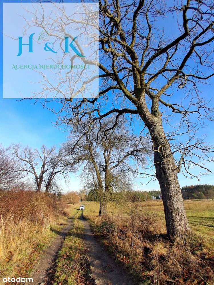 Duża działka budowlana w okolicy Konstancina-Jezio-11