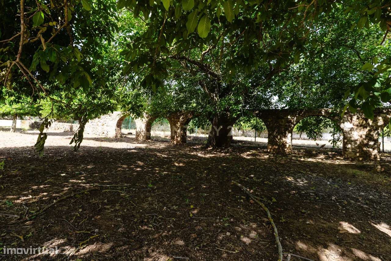 Quinta em  São Brás e São Lourenço-10