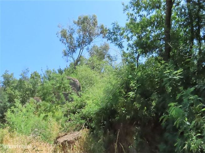 Quinta  para venda-3