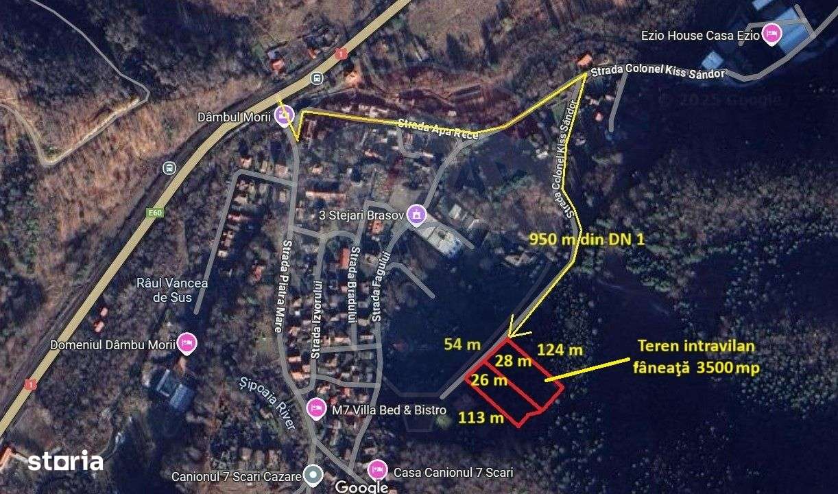 Teren intravilan, 3500 mp, Dâmbu Morii - Imagine principală: 2/8