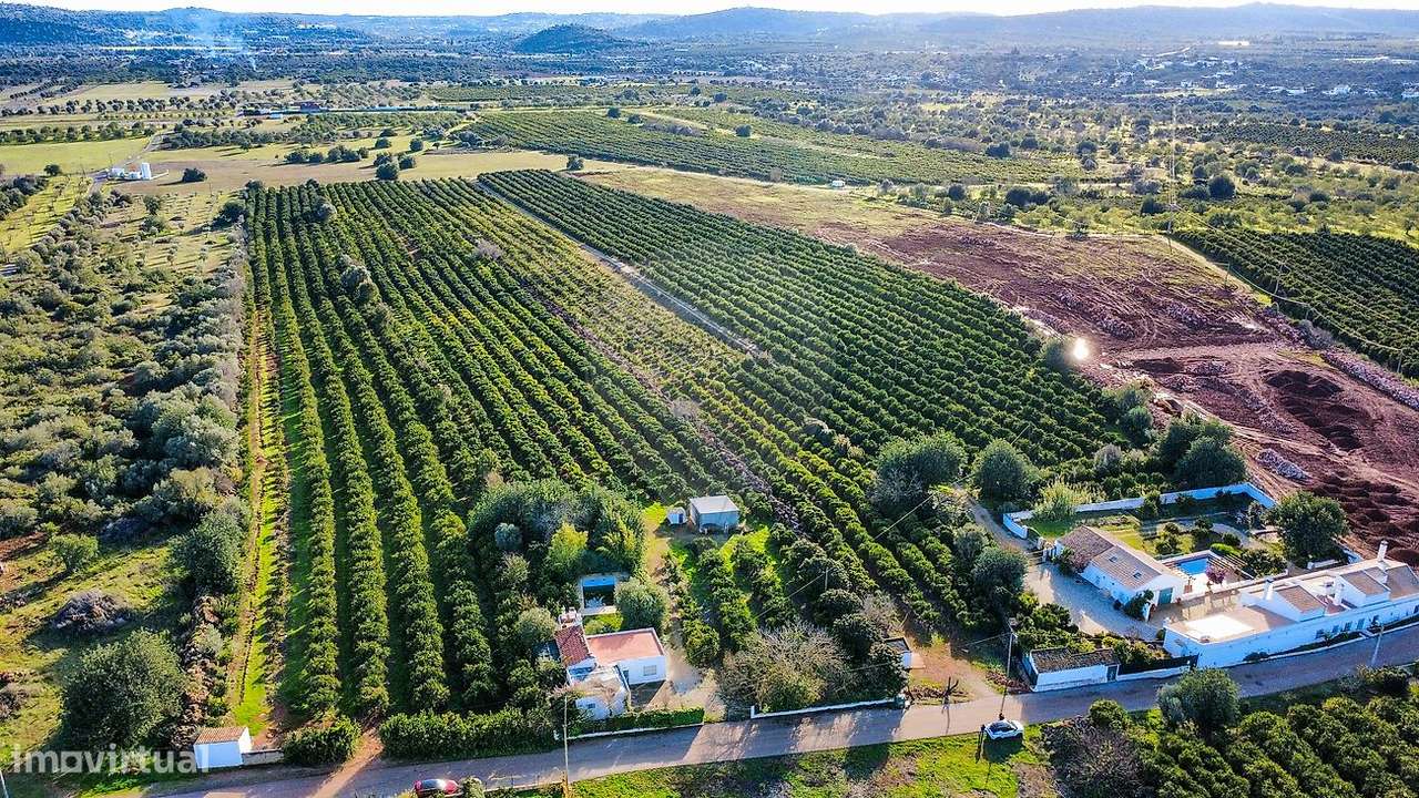 Terreno  para venda - Grande imagem: 5/11
