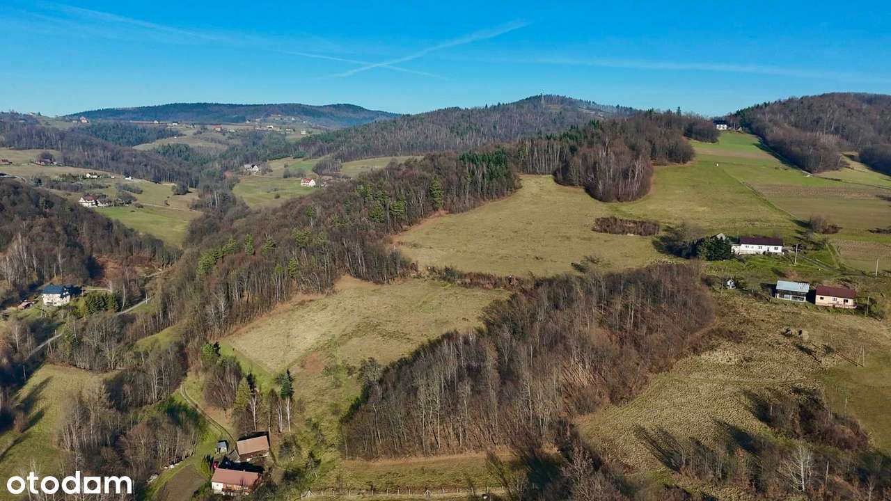 Działka rolno-budowlana z potencjałem-Laskowa - Pełny obrazek: 5/8